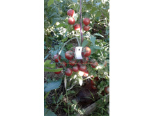 ���������� ������