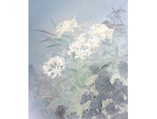 Tumblr p18purPkYI1wjabado1 1280.jpg