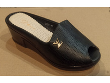 ���� ������