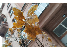 IMG 20221124 151917.jpg