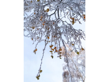 IMG 20221203 140955.jpg