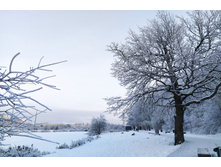 IMG 20221203 144900.jpg