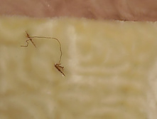 IMG 20221217 173249.jpg