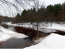 20221120 ����� ����� 110957.jpg