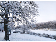 IMG 20221203 144810.jpg