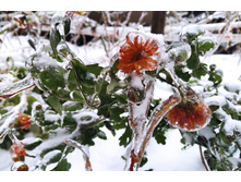 IMG 20221124 151738.jpg