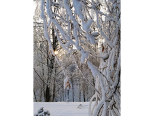 IMG 20221203 141232.jpg