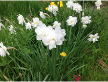 �������� �������� �������