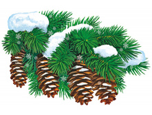 �������� ������ �������� �4 ������ �����. �������� - ������. ������: 275�179��