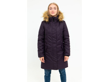 ����� �������� �� �� Avese 5500