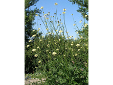 ���������� ����������.jpg