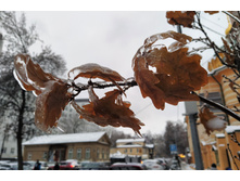 IMG 20221124 151908.jpg