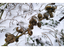 IMG 20221124 151600.jpg