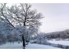 IMG 20221203 144739.jpg