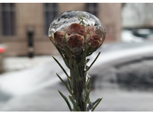 IMG 20221124 152214.jpg