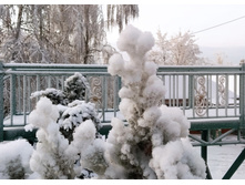 IMG 20221203 141600.jpg