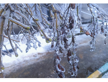 IMG 20221123 093415.jpg