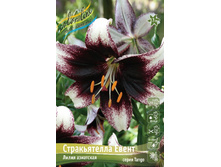 68,7 ���. ����� ������������ ����� ����� (� �������� 1 ��.) ������� �������� 3 ��..jpeg