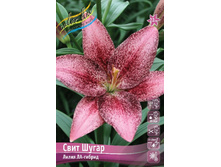 83,8 ���. ����� ���� ����� ����� (� �������� 2 ��.) ������� �������� 4 ��..jpeg