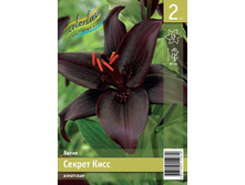 75,2 ���. ����� ������ ���� ����� (� �������� 2 ��.) �������� 4 ��..jpeg