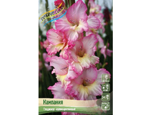 73,4 ���. ��������� �������� ����� (� �������� 5 ��.) 2022 �������� 3 ��..jpeg