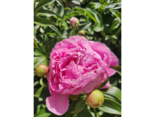 IMG 20220623 100033.jpg