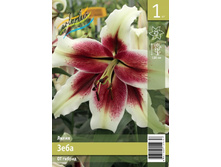 101,3 ���. ����� ���� ����� (� �������� 1 ��.) �������� 4 ��..jpeg