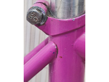 6246c0facb5ad 1648803924778.jpg