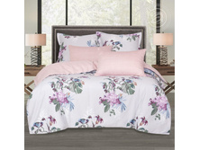 ����� ����� 220 �� ������+���������