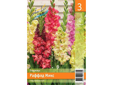 67,6 ���. ��������� ������ ���� ����� (� �������� 3 ��.) �������� 2 ��..jpeg