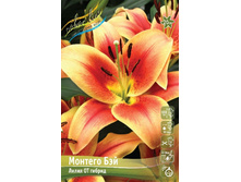 90,1 ���. ����� ������� ��� ����� (� �������� 2 ��.) ������� �������� 3 ��..jpeg