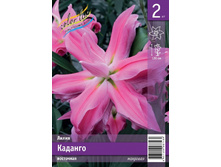 110,4 ���. ����� ������� ����� (� �������� 2 ��.) �������� 4 ��..jpeg