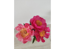 IMG 20220620 133031.jpg