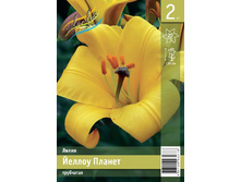 119,7 ���. ����� ������ ������ ����� (� �������� 2 ��.) �������� 4 ��..jpeg