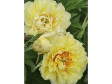 IMG 20220630 123537.jpg