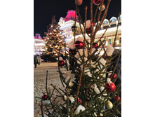 IMG 20230104 184411.jpg