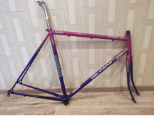 6246c10433483 1648804021999.jpg