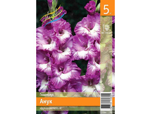 68,9 ���. ��������� ���� ����� (� �������� 5 ��.) �������� 3 ��..jpeg