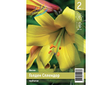 119,7 ���. ����� ������ �������� ����� (� �������� 2 ��.) �������� 4 ��..jpeg