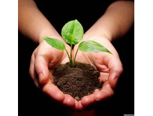 ��� ��� �������!