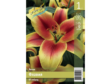 102 ���. ����� ������ 16-18 ����� (� �������� 1 ��.) �������� 4 ��..jpeg