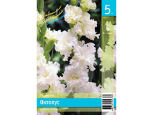 77,2 ���. ��������� ������� ����� (� �������� 5 ��.) �������� 1 ��..jpeg