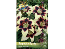 104,9 ���. ����� �������� ����� ����� (� �������� 2 ��.) ������� �������� 3 ��..jpeg