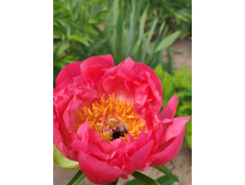 IMG 20220618 135140.jpg