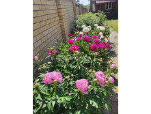 IMG 20220623 100057 1.jpg