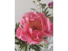 IMG 20220620 175514.jpg