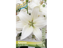 79,7 ���. ����� ������� ����� (� �������� 2 ��.) ������� �������� 4 ��..jpeg