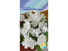 ��������� ������� ������ ����