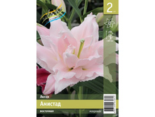 110,4 ���. ����� ������� ����� (� �������� 2 ��.) �������� 3 ��..jpeg