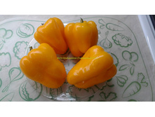 ������ �� ������